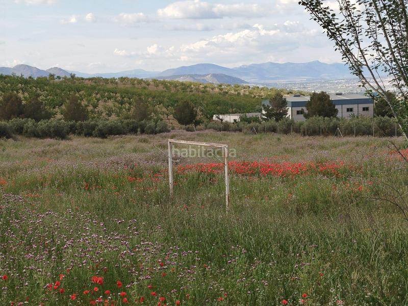 Foto d98d0d85-6c4b-4ca7-95ed-ef9d2d61d160. Propriété dans Residencial Triana - Barrio Alto Gabias (Las)