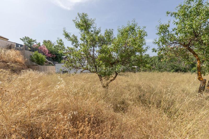 Foto 5be5c50e-07b6-4ce7-b4ed-acee17ee4825. Residential plot in calle calle malva in Villa de Otura