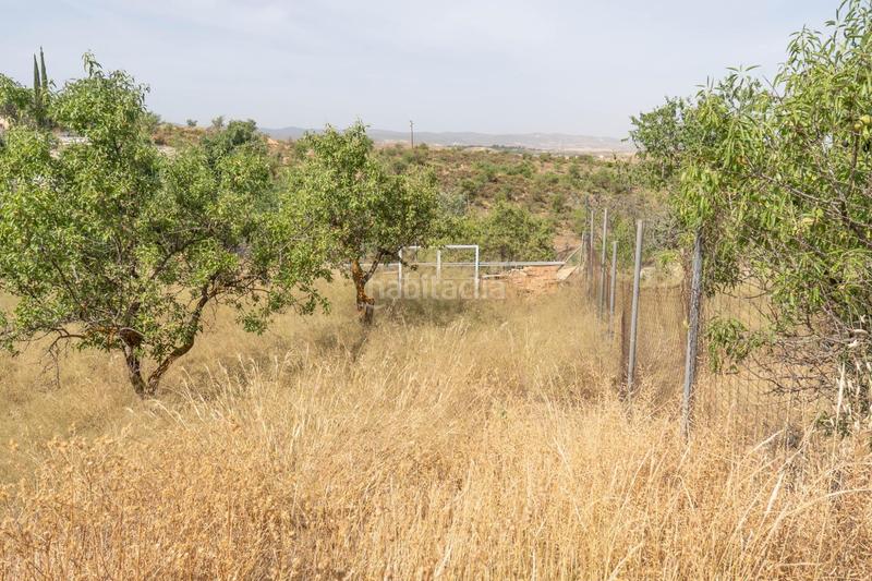 Foto ac033ef2-e725-4f48-8d8b-066b9f8a0ca1. Residential plot in calle calle malva in Villa de Otura