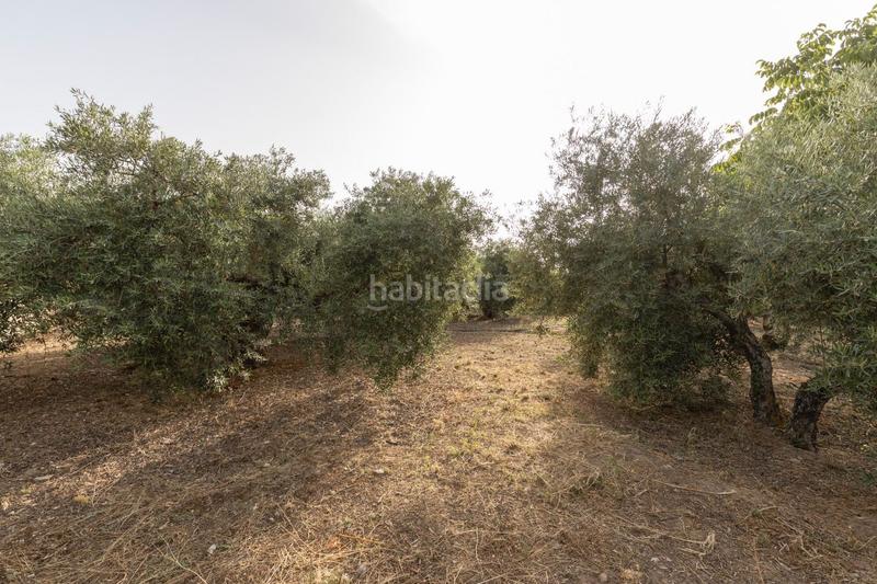 Foto 1f41854e-7852-4285-b332-4b7c427e2b41. Casa se vende exclusiva vivienda en alfacar cuesta con extension de terreno rústico de 6.000m2 en Víznar