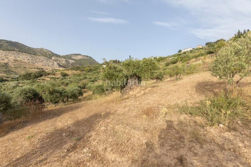 Foto 47a62915-3d32-4206-9680-fb494755aab9. Casa se vende exclusiva vivienda en alfacar cuesta con extension de terreno rústico de 6.000m2 en Víznar