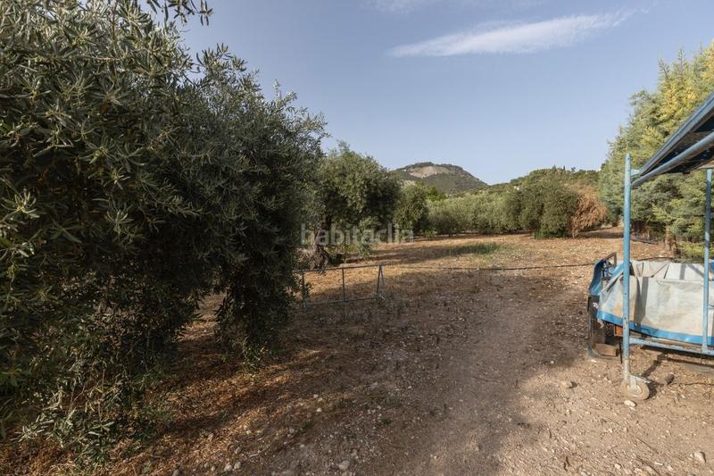 Foto 6937fcd5-a829-4027-9660-9ac09d356a35. Casa se vende exclusiva vivienda en alfacar cuesta con extension de terreno rústico de 6.000m2 en Víznar