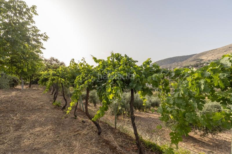 Foto a70214cc-6b70-4829-aac6-eeca36e2f617. Casa se vende exclusiva vivienda en alfacar cuesta con extension de terreno rústico de 6.000m2 en Víznar