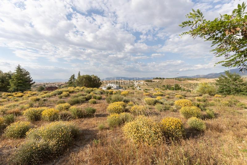 Foto 21532a22-a0b3-45ed-a7be-3a27c8cc7e11. Terreno residenziale in calle barranco de los lobos in Dílar