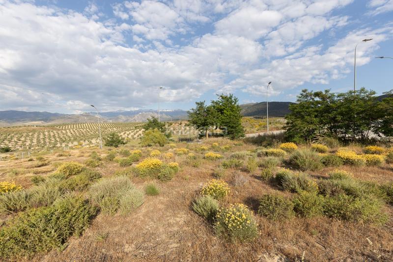 Foto 48b6ebc4-215a-48fe-b47c-6ad39ce17eac. Terreno residenziale in calle barranco de los lobos in Dílar