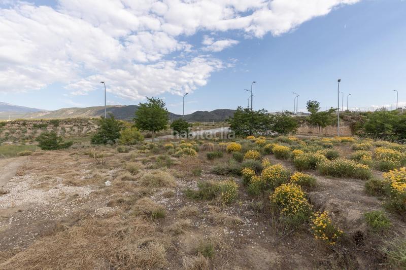 Foto 6665b28a-ec6a-4af8-a970-8789fba7a798. Terreno residenziale in calle barranco de los lobos in Dílar