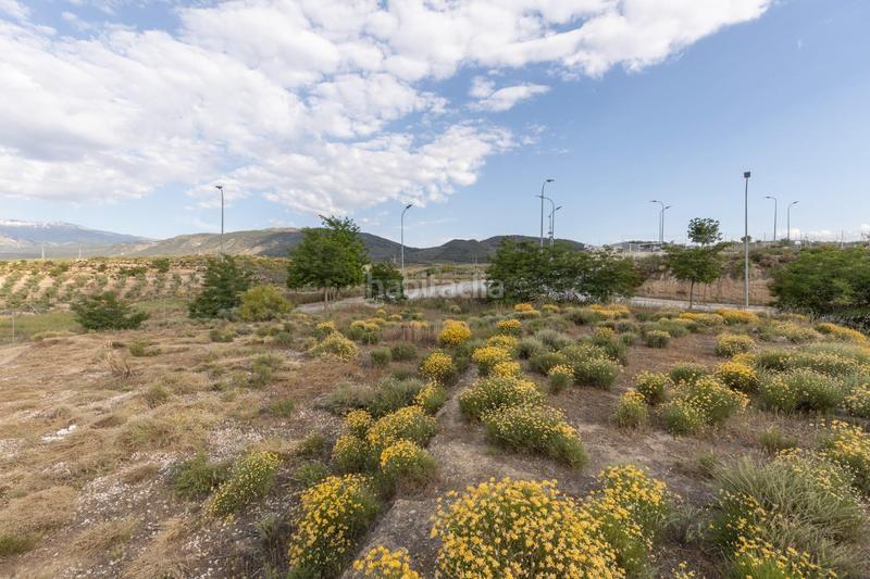 Foto 7018508a-6ff5-49e5-84f3-8b74926b8f56. Terreno residenziale in calle barranco de los lobos in Dílar