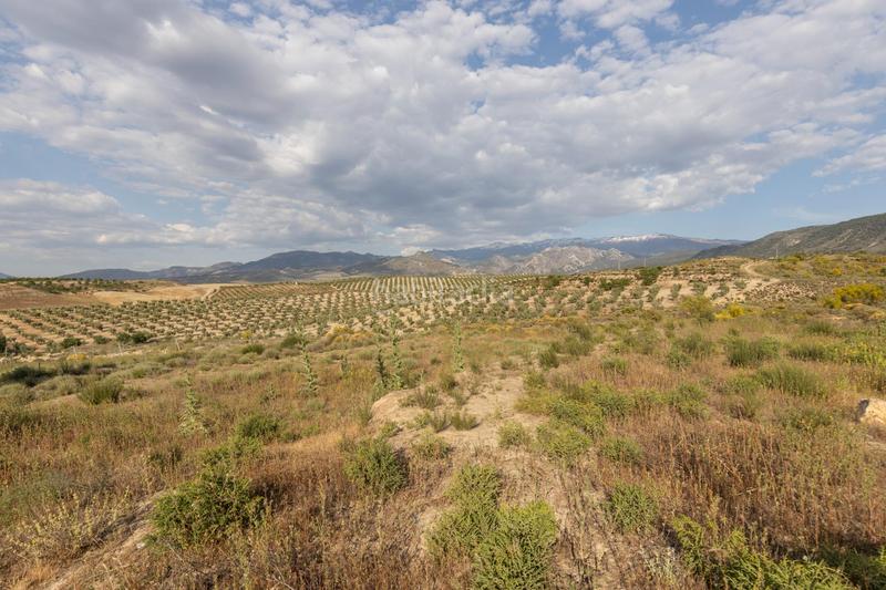 Foto 85c6e989-397d-413e-a001-9062b1d28791. Terreno residenziale in calle barranco de los lobos in Dílar