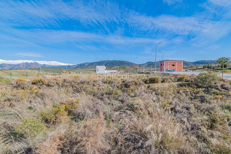 Foto 1114a445-3ce8-4b77-9de2-d45619d22ec4. Terreno residencial magnifica parcela en santa clara golf en Villa de Otura