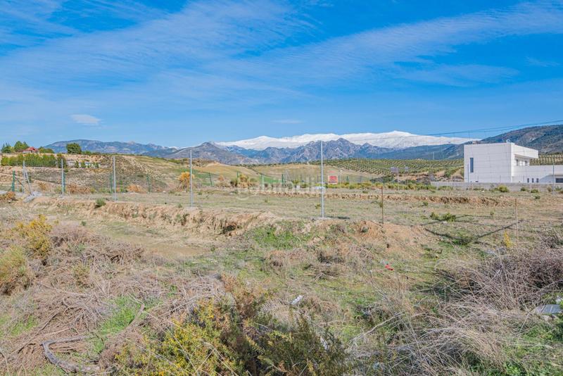 Foto 63dc08f5-0848-4e7a-9663-de1691b2671e. Terreno residencial magnifica parcela en santa clara golf en Villa de Otura