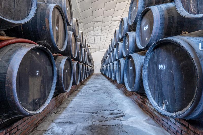 Foto 0568e56f-0ebe-41da-8471-f8cf4d561b06. Geschäftsraum in Urbanizaciones Alhendín