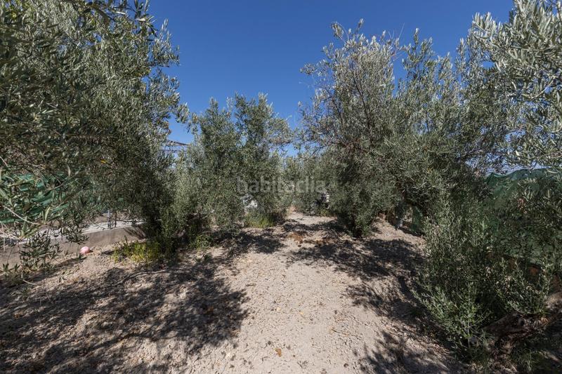 Foto 03ad95f0-f5ca-47f0-965c-0d1bbd00a3ca. Masia a calle diseminados a Santa Fe