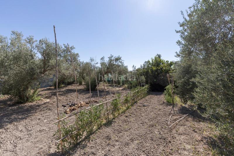 Foto 234bee68-42a6-4adc-9771-7bdec9692506. Masia a calle diseminados a Santa Fe