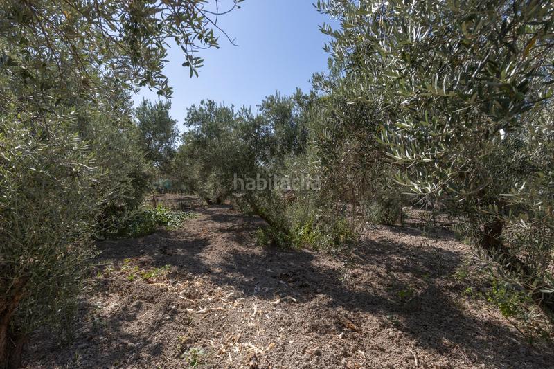 Foto 277b7a29-2a0b-4ba3-83ed-3dd9396f6b1f. Masia a calle diseminados a Santa Fe