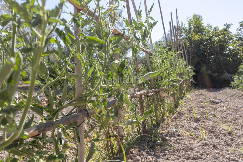 Foto 9a96df35-8d04-411c-ac71-3e7fa444d3c8. Masia a calle diseminados a Santa Fe