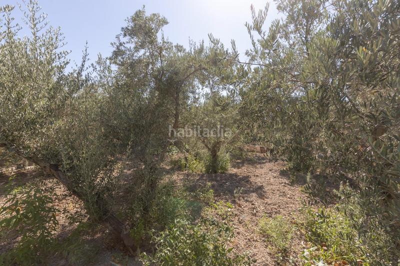 Foto f22cb93e-ba5a-4abf-9261-ca29e2b079aa. Masia a calle diseminados a Santa Fe