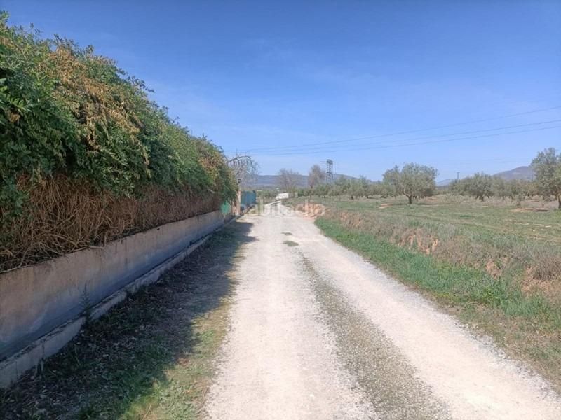 Foto b470107e-7f34-484e-b5bd-3194647b983a. Masia a Albolote