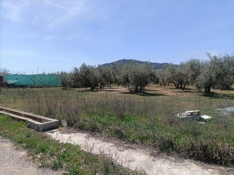 Foto ebbc4fd5-1722-41f4-9c18-90b5d625a430. Masia a Albolote