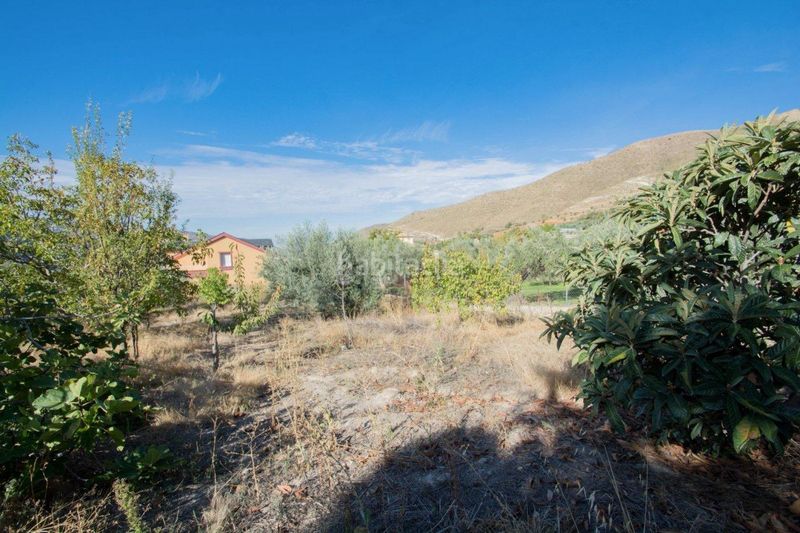 Foto 025f224b-0401-49d0-a295-6654e8072200. Xalet amb aparcament piscina a Güéjar Sierra