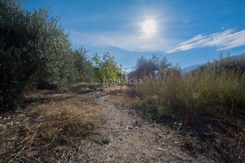 Foto 3909ef0b-f8d2-43b7-99ea-6b4abe2daaff. Xalet amb aparcament piscina a Güéjar Sierra