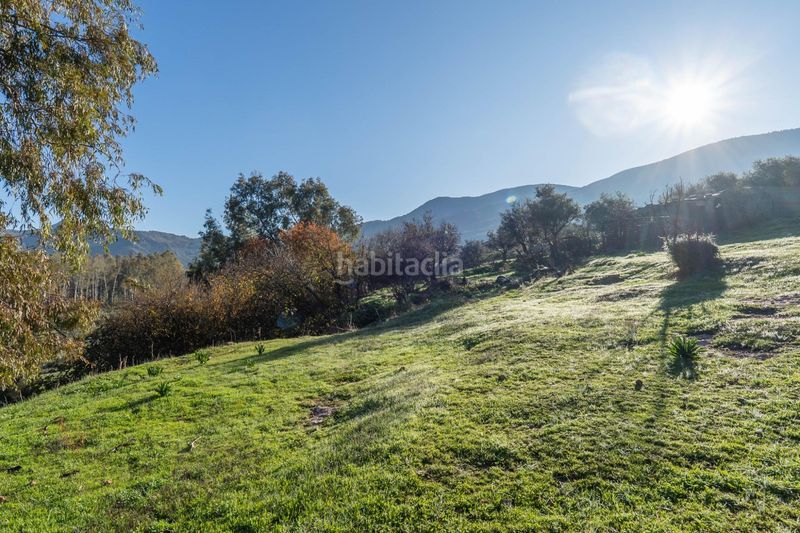 Foto 025b29d1-d21d-4c5c-9848-1dea034455b2. Finca rústica a Órgiva