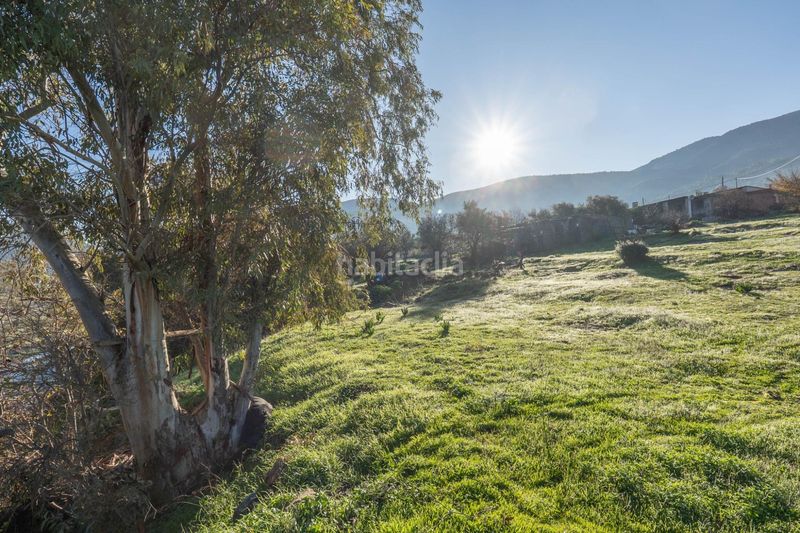 Foto e9f52af6-a03c-4bf3-835e-01cfbefb953e. Finca rústica a Órgiva