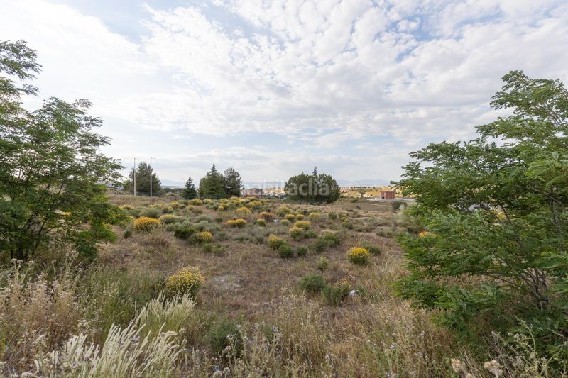 Foto f1f82627-2c10-42c1-bec0-1e61f9cd9b5b. Terreny residencial a calle barranco de los lobos a Dílar
