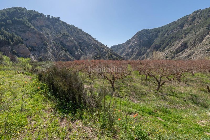 Foto a3820124-1794-465f-8298-c99920a66e73. Finca rústica a Villamena
