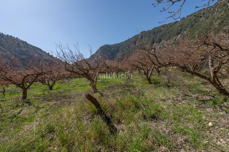 Foto c51e039e-fb37-4361-ac92-d62421ce8def. Finca rústica a Villamena