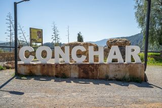 Rural plot in Villamena. Oportunidad única en cónchar el corazón del valle de lecrín.