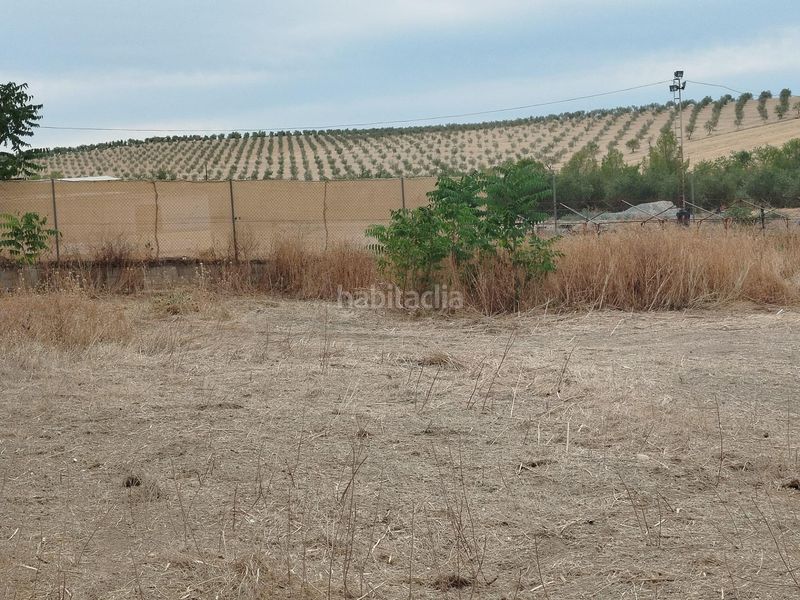 Foto 7009c5b4-9115-4d04-8510-ed14be92a579. Finca rústica a Residencial Triana - Barrio Alto Gabias (Las)