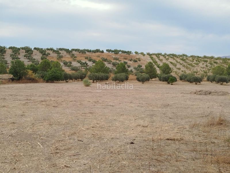 Foto 91b09be7-9892-4234-ab96-a9cb10db8e7c. Finca rústica a Residencial Triana - Barrio Alto Gabias (Las)