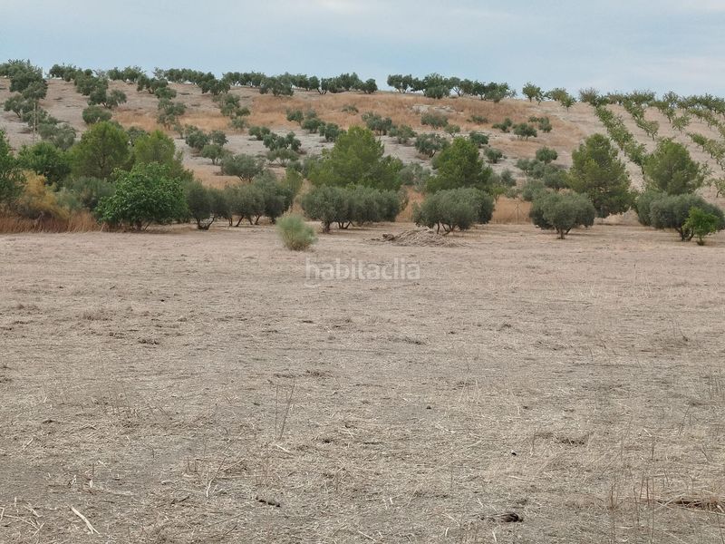 Foto ab534e0a-7304-44c7-bff2-fea91e242a74. Finca rústica a Residencial Triana - Barrio Alto Gabias (Las)
