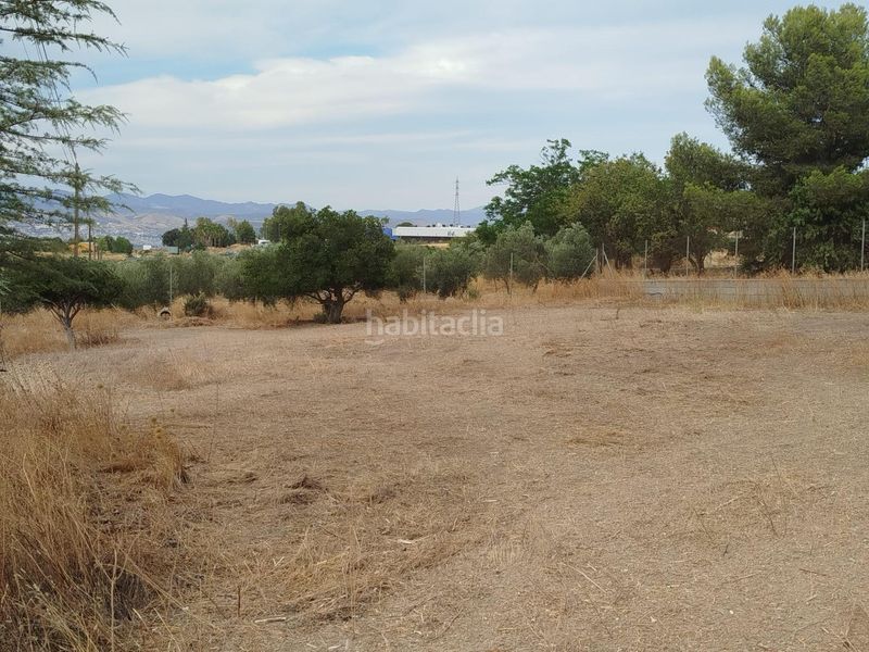 Foto c31dd8fd-ba4f-4665-93f2-d9766a1c5c32. Finca rústica a Residencial Triana - Barrio Alto Gabias (Las)