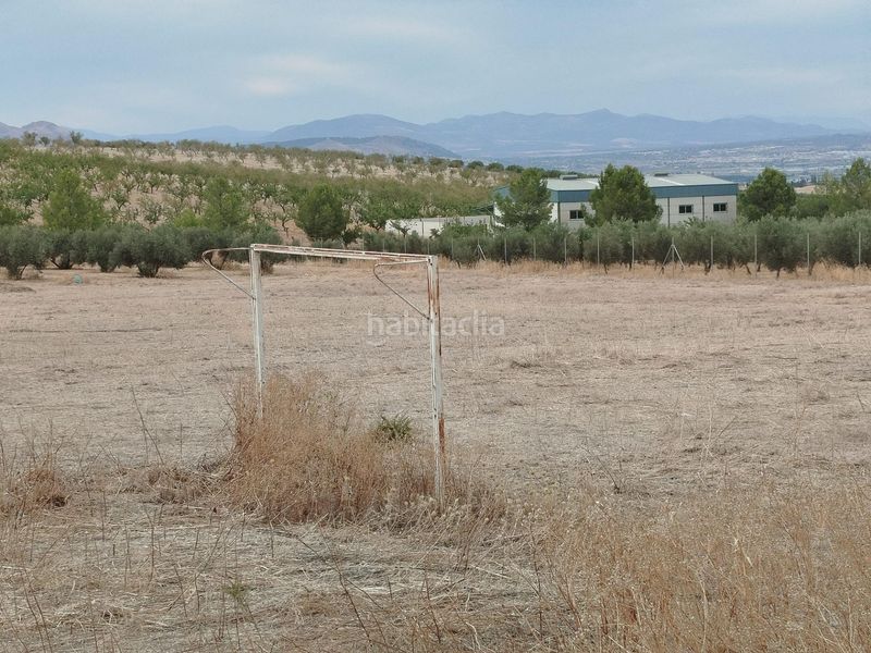 Foto c84d1002-9473-4844-aa21-33e4c9764802. Finca rústica a Residencial Triana - Barrio Alto Gabias (Las)