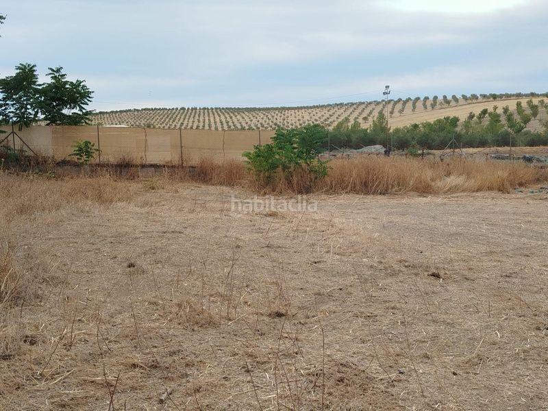 Foto dabf875b-8b57-485b-a3a4-8a2f33401c01. Finca rústica a Residencial Triana - Barrio Alto Gabias (Las)