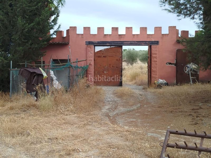Foto ea6bc4e1-c86f-4434-95c8-05c5f0f2273d. Finca rústica a Residencial Triana - Barrio Alto Gabias (Las)