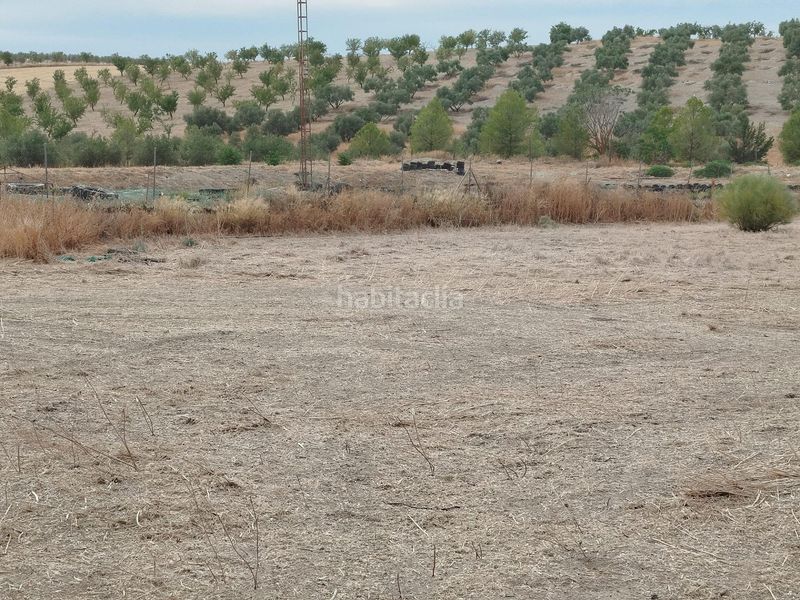 Foto f480bb79-8e57-4a0a-942d-7b357ada411e. Finca rústica a Residencial Triana - Barrio Alto Gabias (Las)