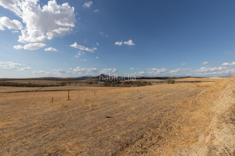 Foto a5a5ef99-dc2b-4dcf-b4e4-41e42603488f. Finca rústica a polígono polígono 6 parcela 17 cañada esparragal. villa d 6 a Villa de Otura