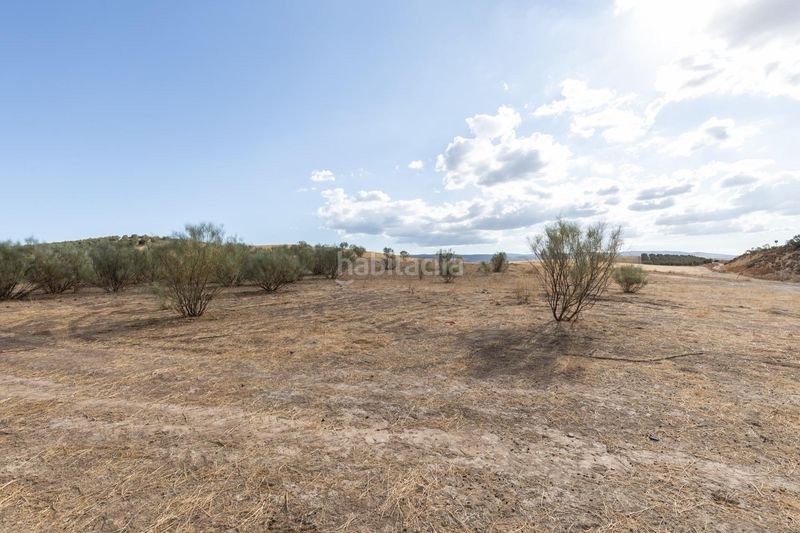 Foto b31d1c61-9b1c-490a-a64a-7689bee8aee2. Finca rústica a polígono polígono 6 parcela 17 cañada esparragal. villa d 6 a Villa de Otura