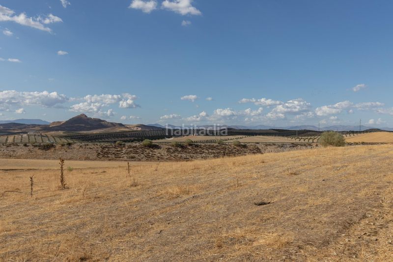 Foto b3fbb51b-1148-4fd1-b2f6-b105fd59e12f. Finca rústica a polígono polígono 6 parcela 17 cañada esparragal. villa d 6 a Villa de Otura