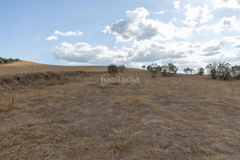 Foto e77fecd3-cc1f-4e8d-8f3c-1bb82695223e. Finca rústica a polígono polígono 6 parcela 17 cañada esparragal. villa d 6 a Villa de Otura