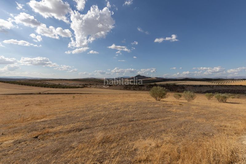 Foto ea805498-0551-4df5-8457-ed6eff2a4c11. Finca rústica a polígono polígono 6 parcela 17 cañada esparragal. villa d 6 a Villa de Otura