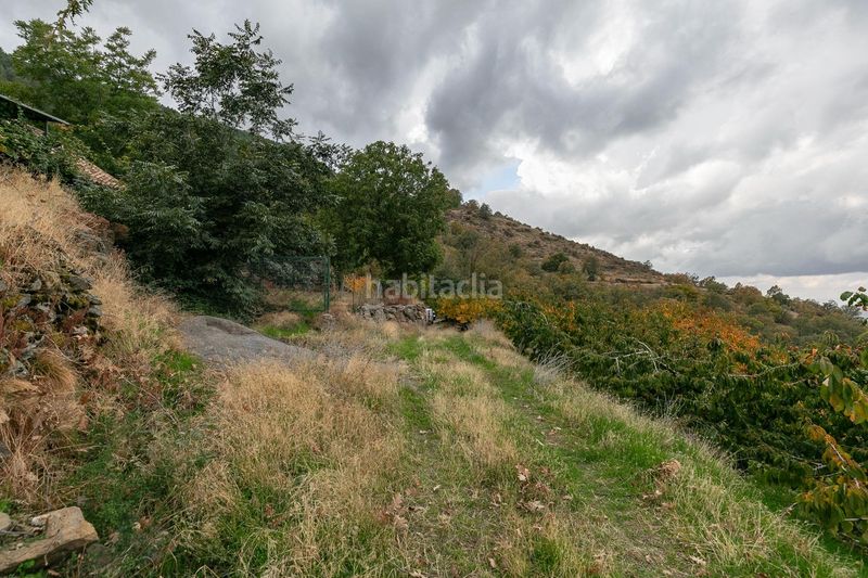 Foto f556acb4-b85e-4ab2-975d-0622e8d0e4c8. Finca rústica a Güéjar Sierra
