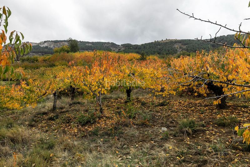 Foto cbdf1d6a-e218-486e-81af-b534a5541af2. Finca rústica a Güéjar Sierra