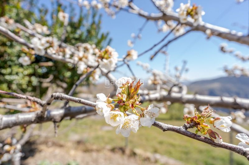 Foto fcbece06-4503-4525-b577-b88cf20c6d39. Edificio in Pórtugos