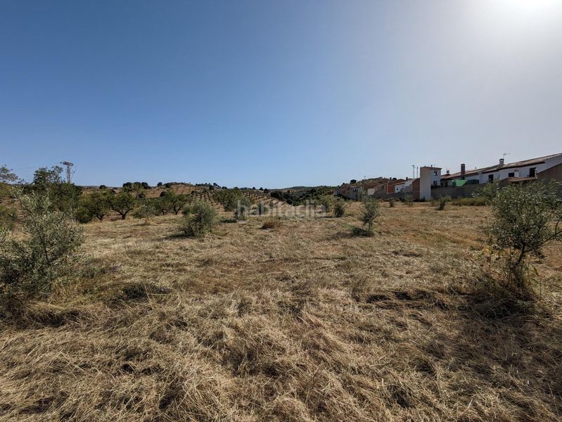 Foto 53f9137c-a3bb-4a8c-9fd5-9174991f48c4. Terreny residencial a extrarradio a Jayena