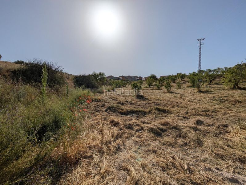 Foto e4c741f3-6f63-4aa6-911c-ac761ec902a2. Terreny residencial a extrarradio a Jayena