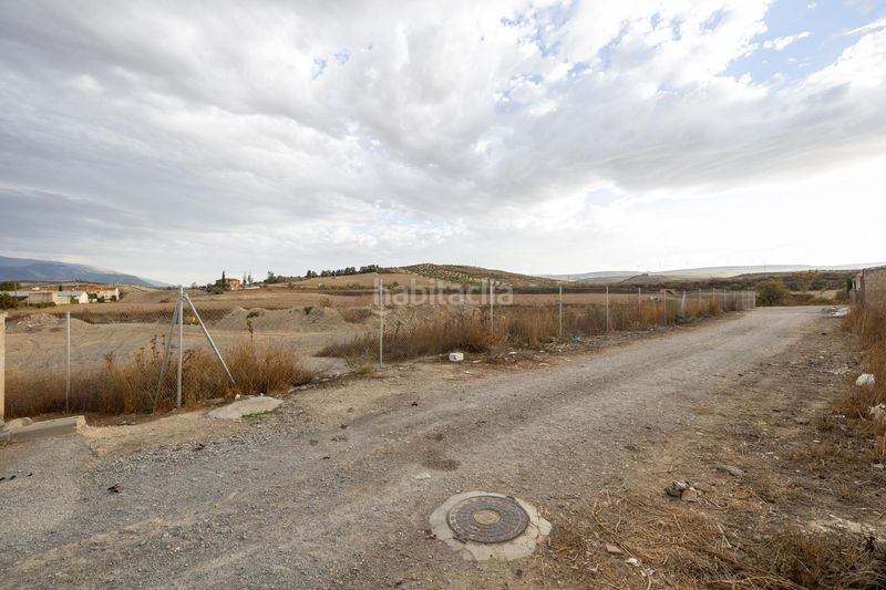Foto a3096e04-32b5-43fc-993d-9c8f7405c9a1. Terreny residencial a Malahá (La)