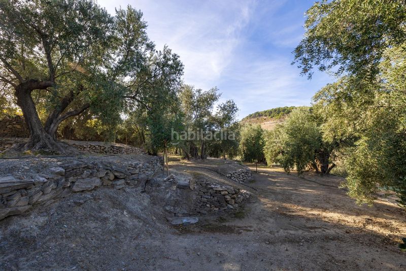 Foto 51ad4ff8-f514-46e2-8879-2b496ed1e962. Finca rústica a Lecrín